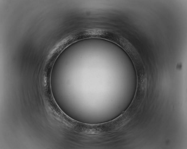 X0000116880731200912291241