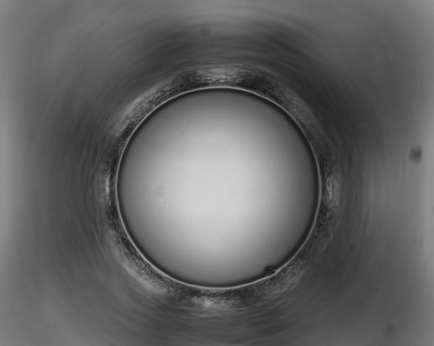 X0000116880733200912291242