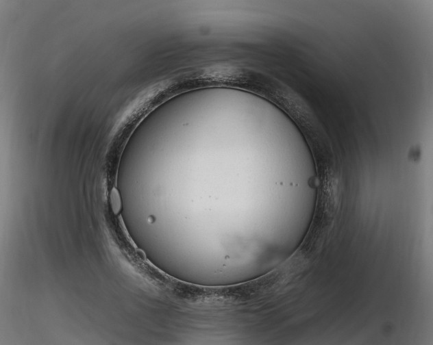 X0000116880734200912291242