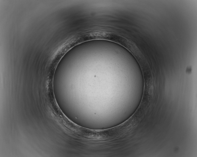 X0000116880735200912291242