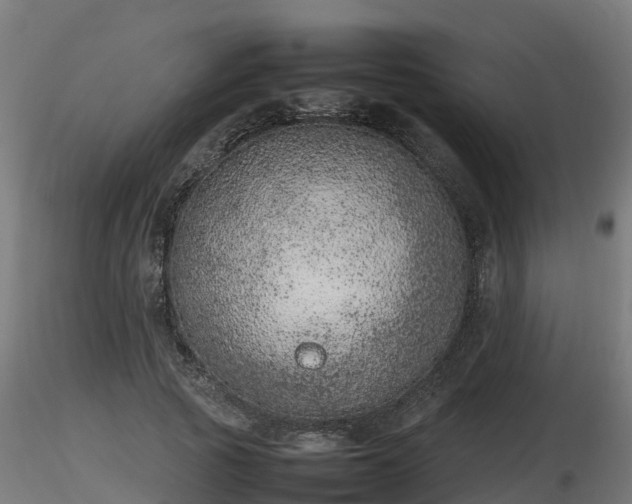 X0000116880737200912291242