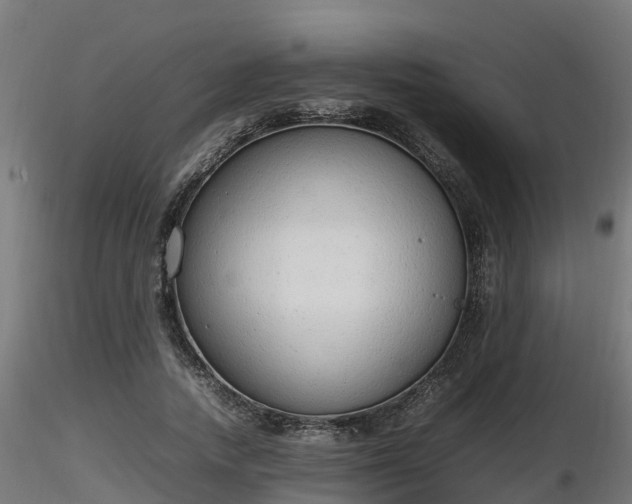X0000116880738200912291242