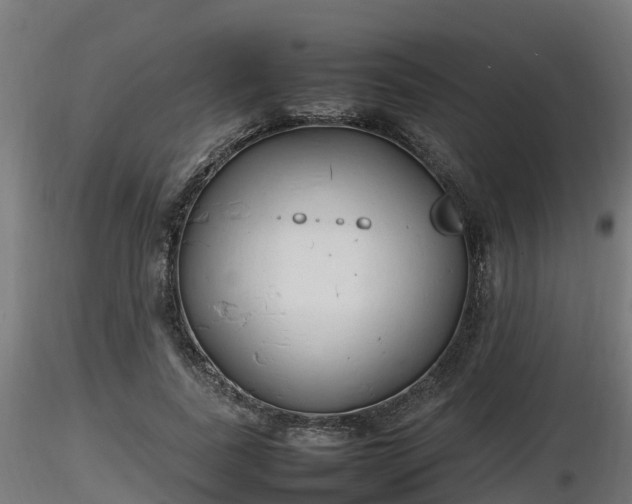 X0000116880739200912291242