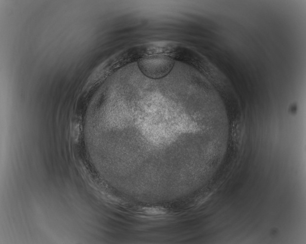 X0000116880741200912291242