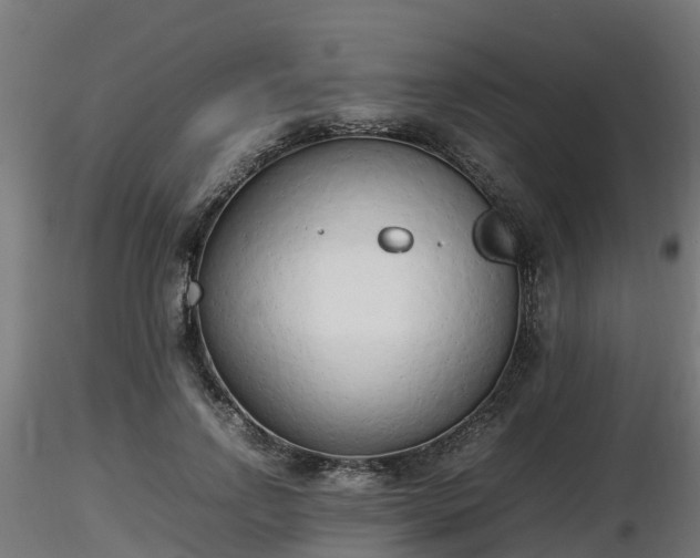 X0000116880742200912291242