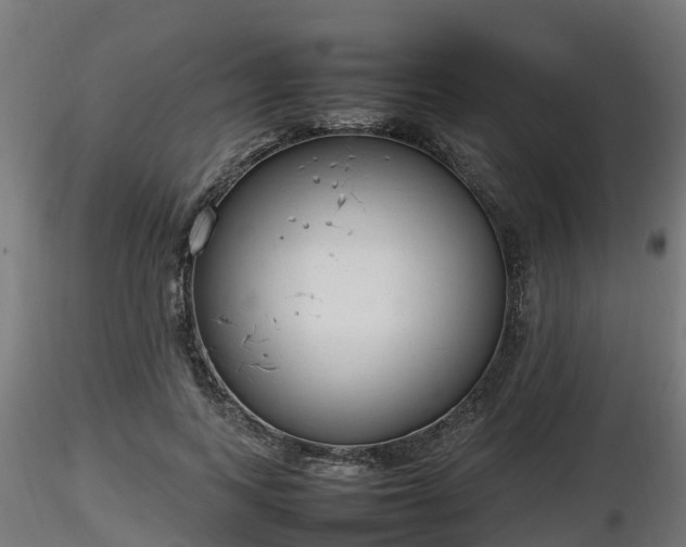 X0000116880743200912291242