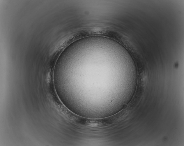 X0000116880746200912291242
