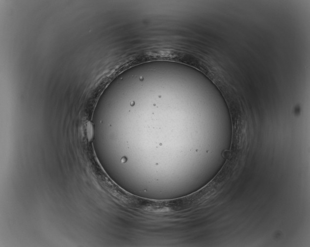 X0000116880747200912291242