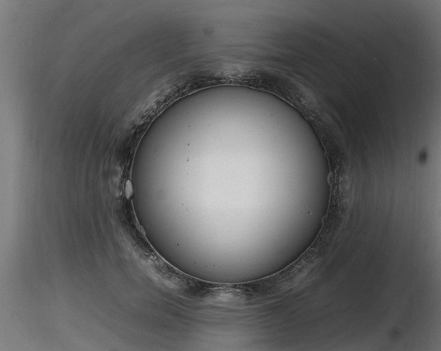 X0000116880750200912291242