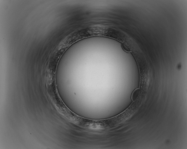 X0000116880751200912291242