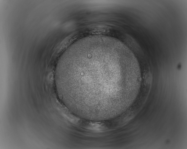 X0000116880753200912291242