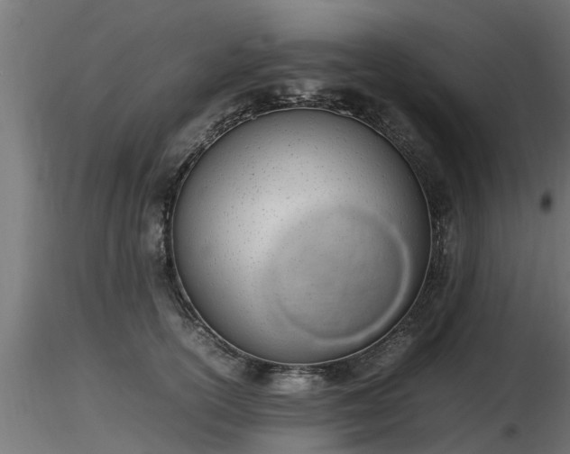 X0000116880754200912291242