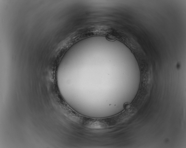 X0000116880755200912291242