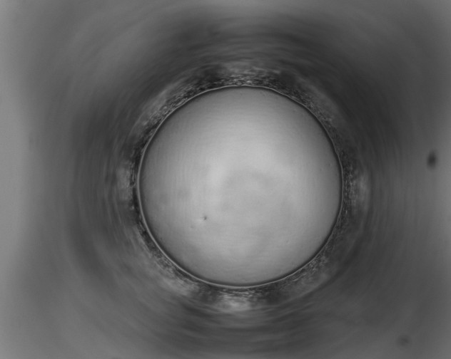 X0000116880757200912291242