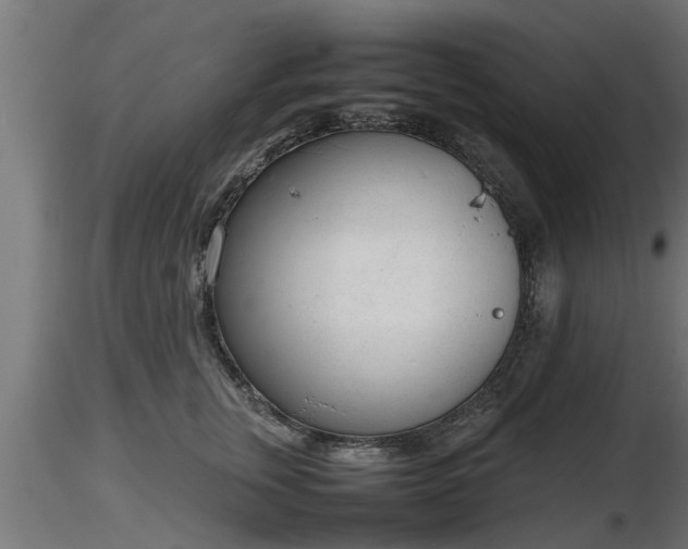 X0000116880759200912291242