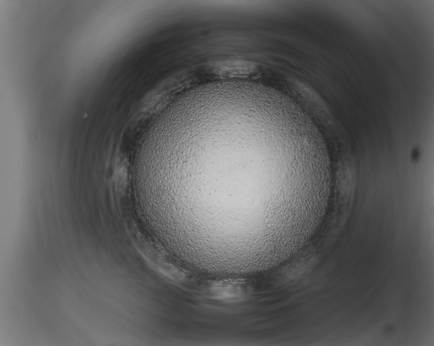 X0000116880761200912291242