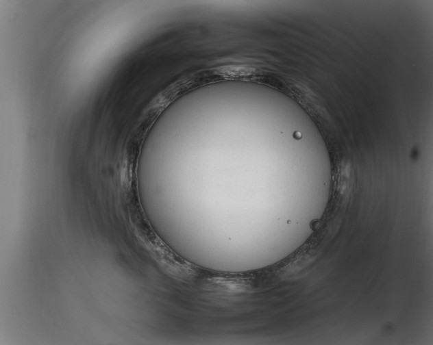 X0000116880763200912291242