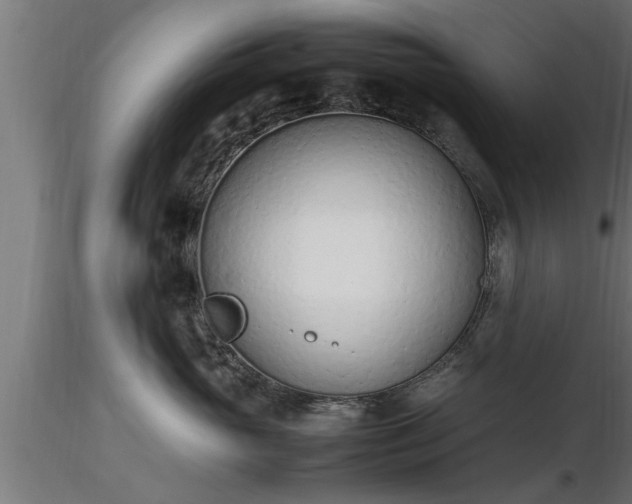 X0000116880765200912291242