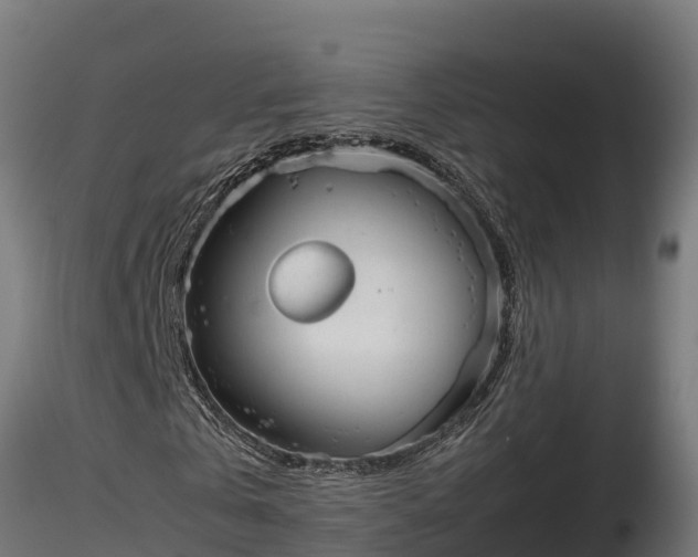 X0000116880769200912291241