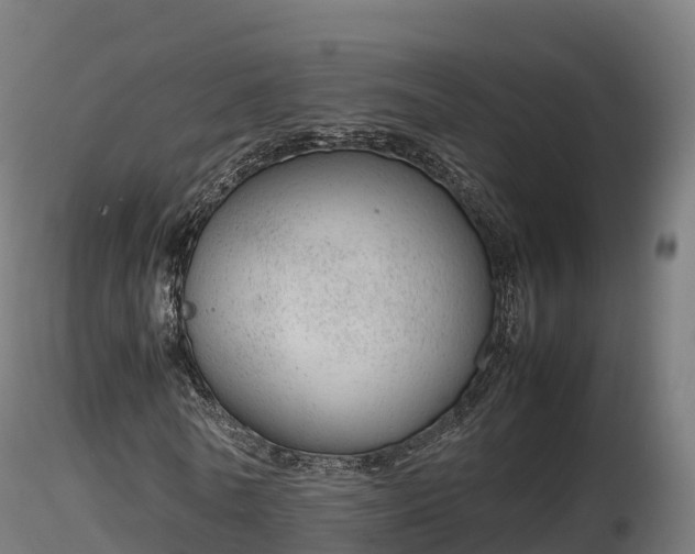 X0000116880770200912291241