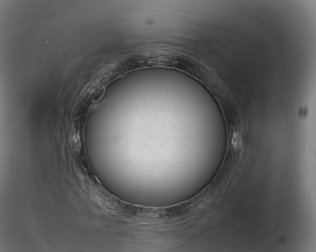 X0000116880771200912291241