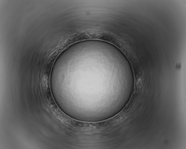 X0000116880772200912291241