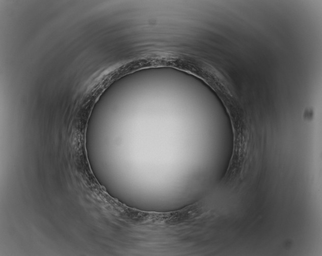 X0000116880773200912291241