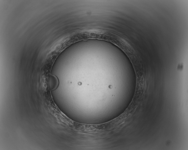 X0000116880774200912291241