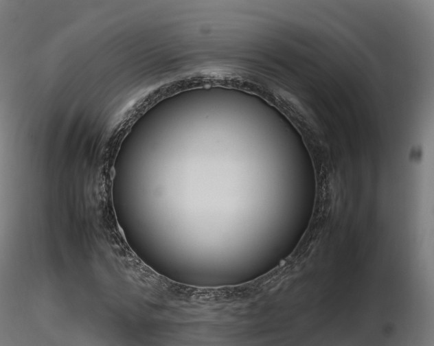 X0000116880776200912291241