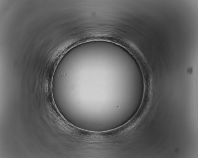 X0000116880777200912291241