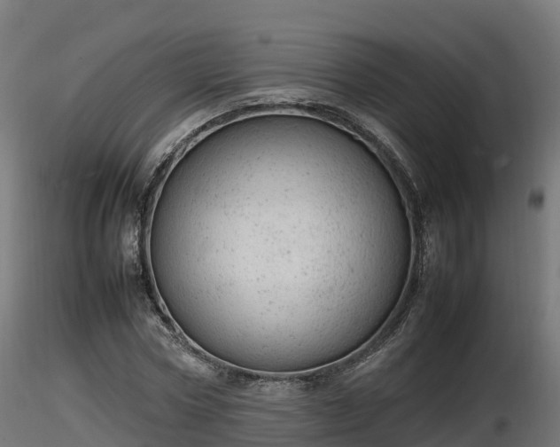X0000116880778200912291241