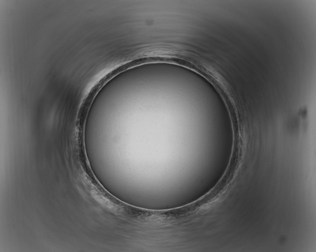 X0000116880779200912291241