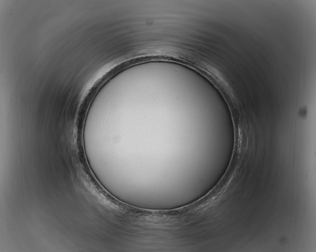 X0000116880780200912291241