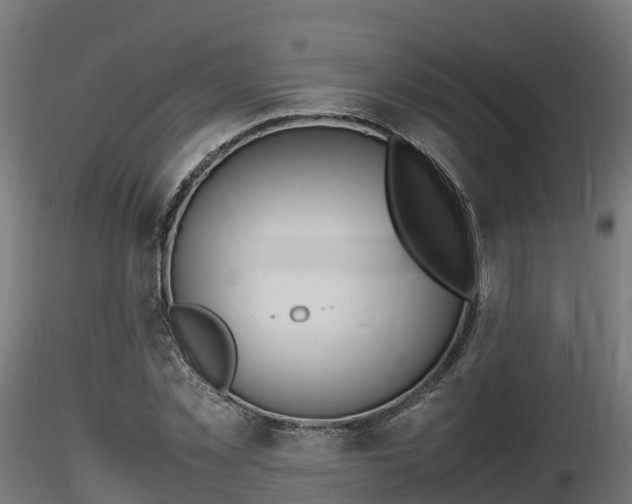 X0000116880781200912291241