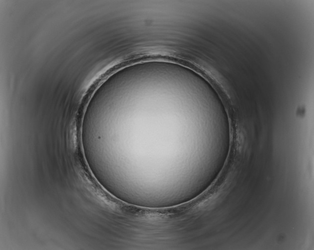 X0000116880782200912291241