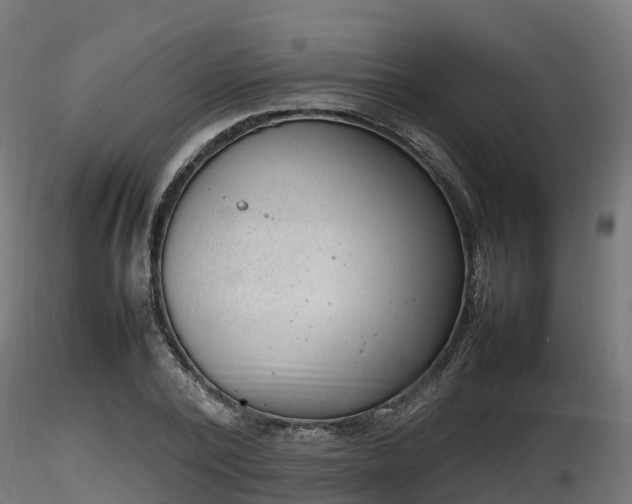 X0000116880784200912291241