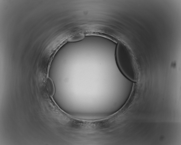X0000116880785200912291241