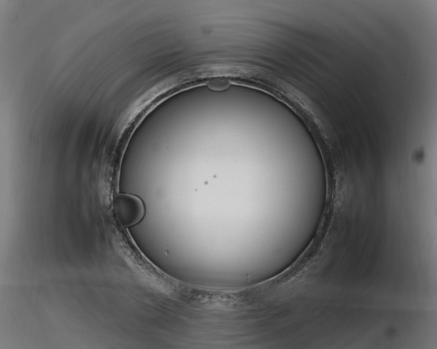 X0000116880786200912291241