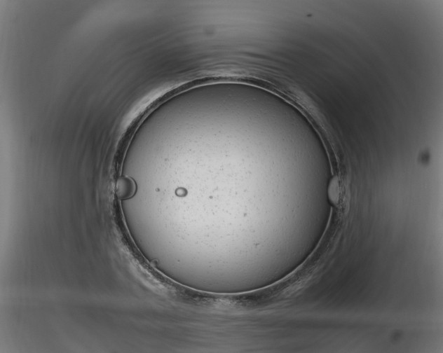 X0000116880787200912291241