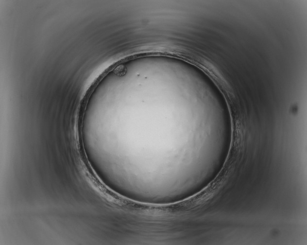 X0000116880788200912291241