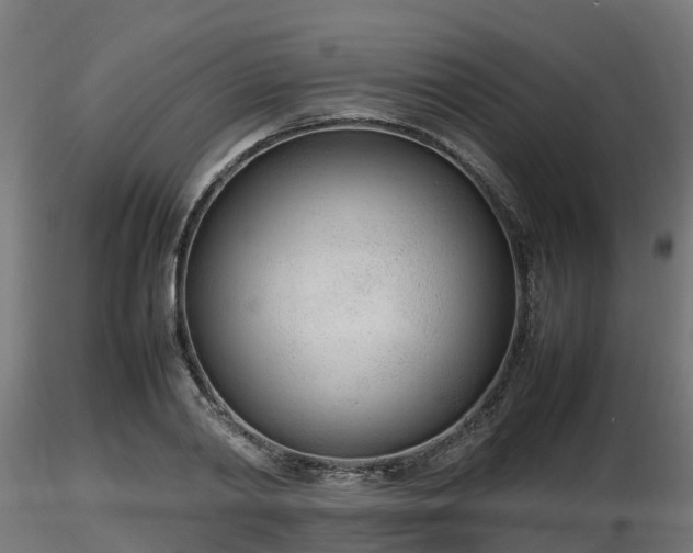 X0000116880790200912291241