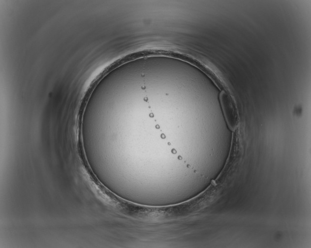 X0000116880791200912291241