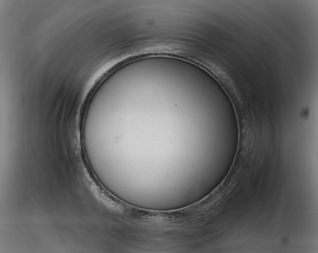 X0000116880792200912291241