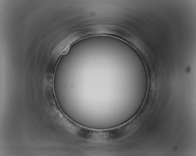 X0000116880793200912291241