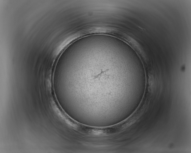 X0000116880794200912291241