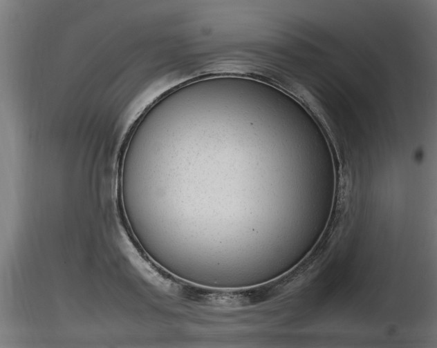 X0000116880795200912291241