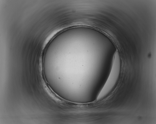 X0000116880796200912291241