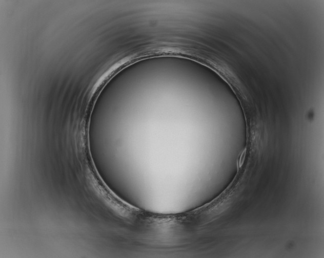 X0000116880798200912291241