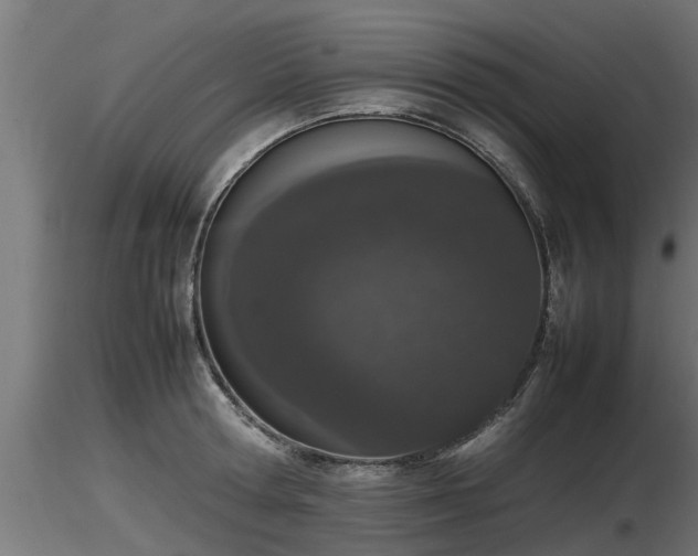 X0000116880802200912291241