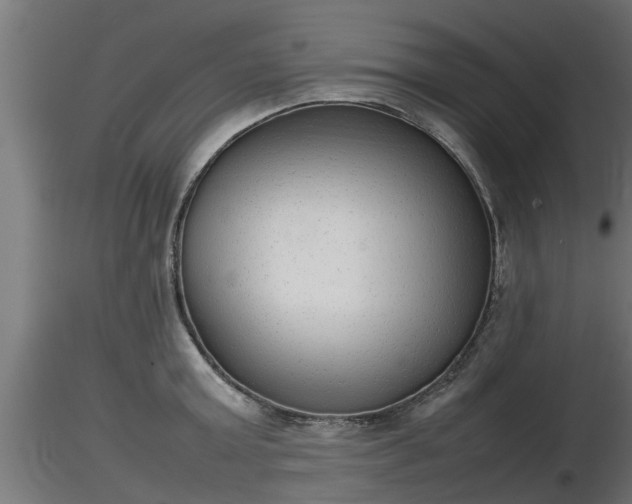 X0000116880803200912291241